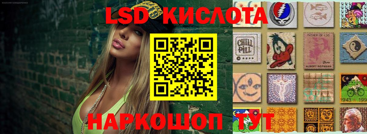 Псилоцибиновые грибы Нерюнгри