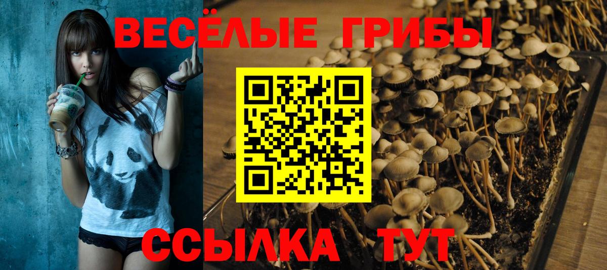 Нерюнгри  Галлюциногенные грибы прущие грибы  Вход с VPN 