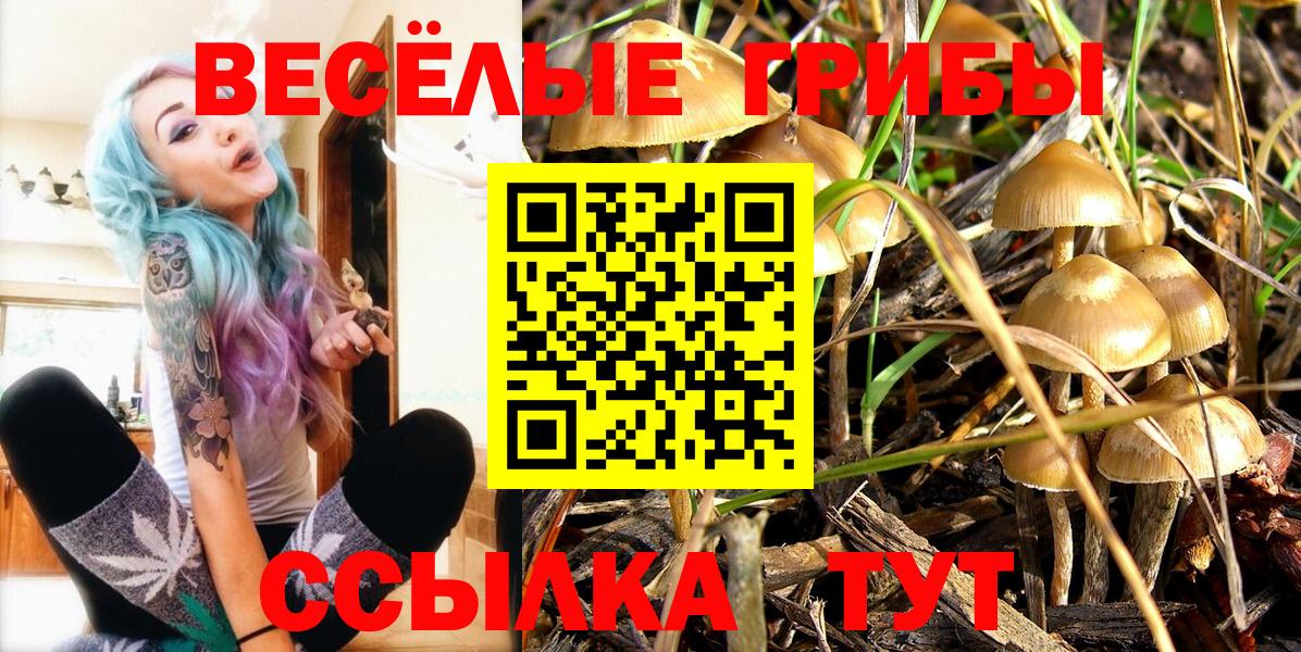 Галлюциногенные грибы мухоморы Нерюнгри